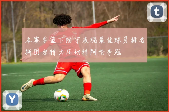 本赛季篮下防守表现最佳球员排名斯图尔特力压切特阿伦夺冠