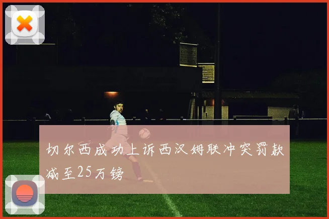 切尔西成功上诉西汉姆联冲突罚款减至25万镑